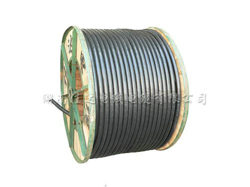 0.61kv铜（铝）芯聚氯乙烯绝缘聚氯乙烯（聚乙烯）护套电力电缆
