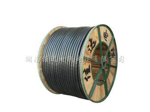 0.61kv铜（铝）芯聚氯乙烯绝缘聚氯乙烯（聚乙烯）护套电力电缆